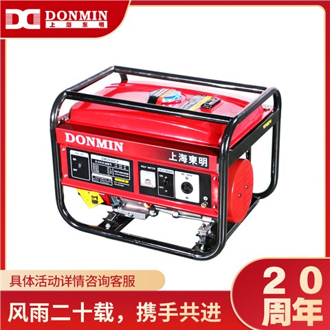 单相3kW小型汽油发电机组 DM3500CX